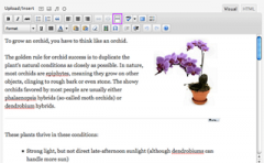 wordpress-orchid-more-1